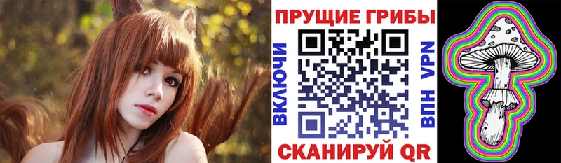 Псилоцибиновые грибы Cubensis  Вяземский 